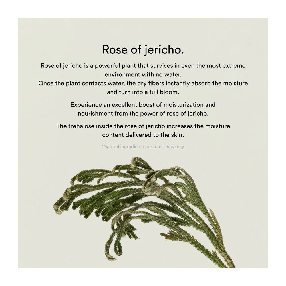 Collagen Gel Mask Jericho Rose Jelly